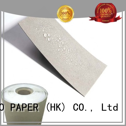 customization pe coated paperboard double for frozen food NEW BAMBOO PAPER